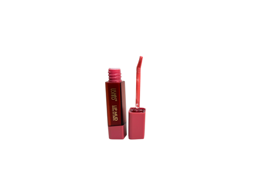 LIP MUD USHAS