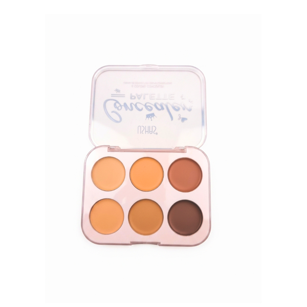 PALETA DE CORRECTORES USHAS-TONOS TIERRA